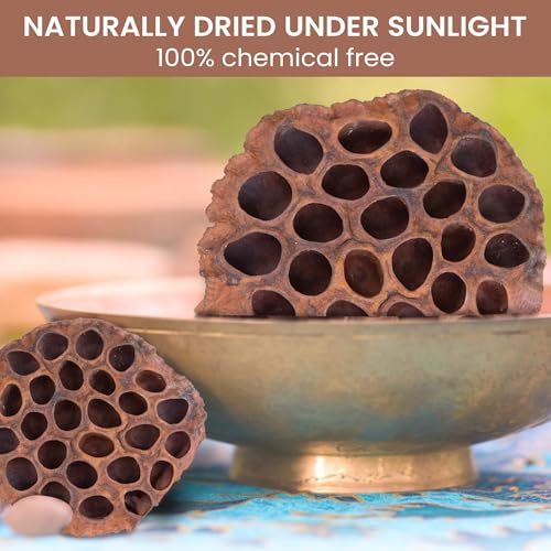 Dried Lotus Pods Pack of 25 Pods for Floral Arrangement and Home Decor,Natural Seed Heads for Vase Fillers, Dried Flower Centerpieces
