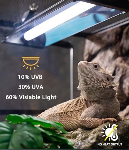 T5 UVB Reptile Light Fixture Combo Kit - 12 Inch 8W Terrarium Hood 10.0 UVA UVB Bulb with High-Efficiency Reflector for Desert Reptiles & Amphibians (Bearded Dragons, Turtles, Tortoises) - size: 8W T5 Suite