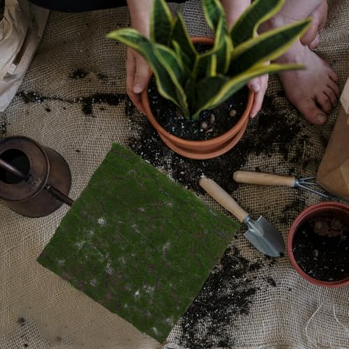 TOYANDONA Artificial Moss Grass Turf Mat 30x30cm Faux Moss Carpet for Home Garden Wedding Decor Reptile Terrarium Indoor Outdoor Artificial Greenery