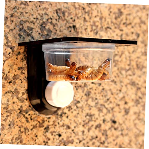 BESPORTBLE 3pcs Reptile Food Bowl Reptile Water Dish Feeder Bowl Turtle Feeding Dish for Lizards Easy to Clean Suction Cup Design - size: Size 4