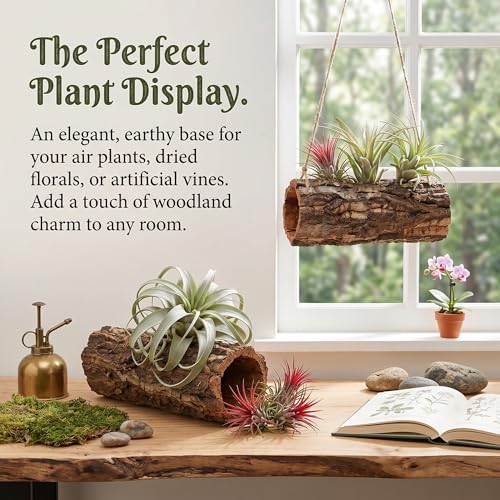 Tree Trunk Reptile Hide Cave, Reptile & Hibian Wood Habitat Hideouts Artificial Cork Bark Tube Small Log Climbing Hidedecorative Terrarium Accessories for Gecko Hermit Crabs Frog Snake, 7. 8"