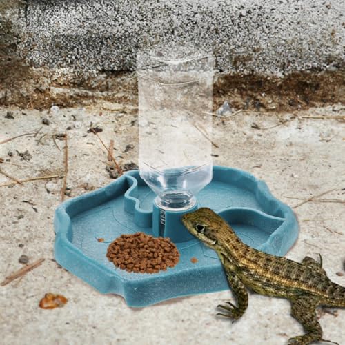 Beavorty Automatic Reptile Water Feeder Bowl for Tortoises and Lizards, Reptile Water Dish with Reservoir, Sturdy Pet Feeding Accessory for Terrariums, Blue and Brown
