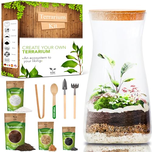 Terrarium Kit for Plants DIY | Starter Pack – Closed Ecosystem – 34 fl oz Glass – Succulents, Air Plants, Bonsai, Indoor Plants – (Plants Not Included) - size: 34 fl oz