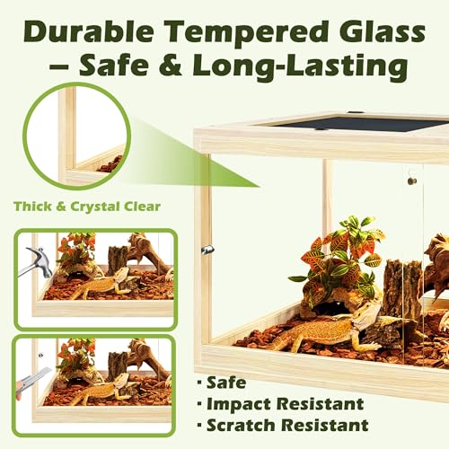 PROLEE Reptile Tank, 31 Gallon Beard Dragon Tank, Tempered Glass Reptile Encloure and Snake Tank with Locking Design for Lizard,Gecko,Chameleon (24"X15.5"X15.5",Oak) - color: Oak, size: 31 Gallon (24x15.5x15.5 Inch)