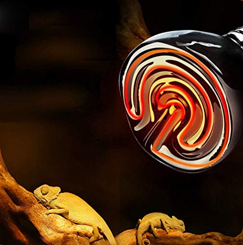 50W Mini Reptile Heat Lamp Bulb(2 Pack) E26/E27 Base,AC110-120V,Pet Infrared Ceramic Heat Emitter, or Reptile Like Lizard,Tortoise,Brooder Coop, Aquarium,Snake,No Light,Black