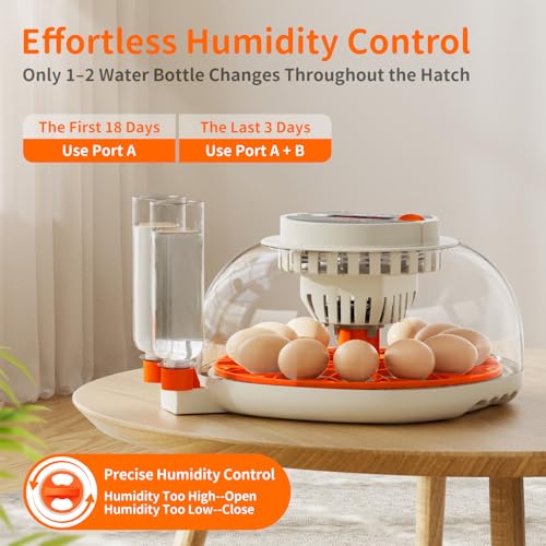 APDOE Egg Incubators for Hatching Eggs, Temperature and Humidity Control, Automatic Egg Turning, Egg Candler, External Water Bottle, Air Vent, for Chicken, Duck & Quail Eggs, 12 Eggs - size: 12 Eggs