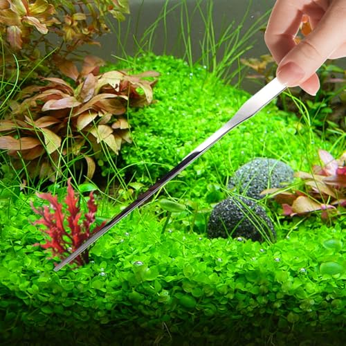 Aquarium Tweezers for Reptile Feeding, Stainless Steel Feeding Tongs for Reptile, 27cm Long Tongs with Curved Tips, Silver for Terrarium Enclosure Gecko Turtle Axolotl Bearded Leopard Lizard Saltwater