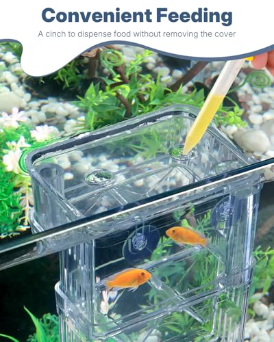 Pawfly Aquarium Breeding Box - Transparent Plastic Breeder Box for Fish Tank, Fry Hatchery Incubator for Baby Fish, Shrimp, Betta, Clownfish, Guppy, Large - size: Large