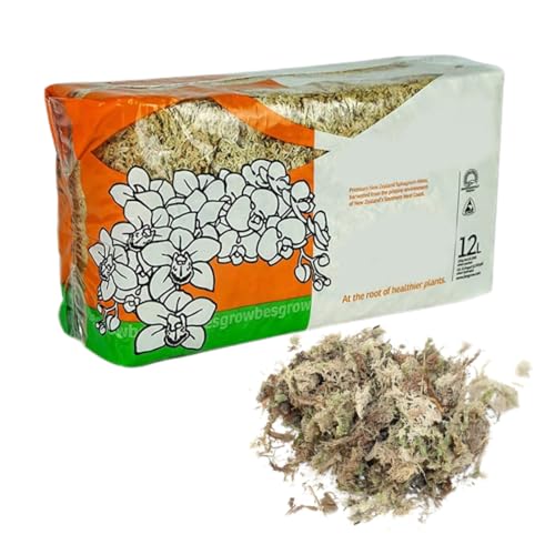 Sphagnum Moss Dried Spagnum Dry Moss for Reptiles Bedding and Terrarium Pet Supplies 150g