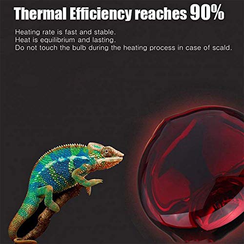 50W Infrared Heat Lamp Bulb E26 Base Red Basking Spot Light for Reptile Terrarium, Non-Disruptive Night Heater for Bearded Dragons Snake Turtle and Amphibian 2 Pack