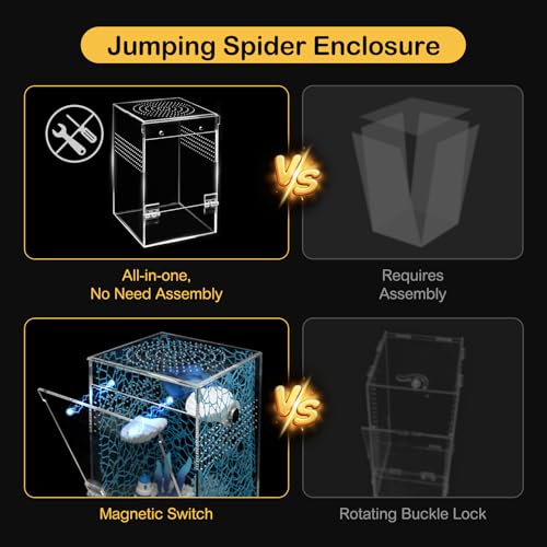 Jumping Spider Enclosure Starter Kit,Escape Proof Ocean Terrarium | Praying Mantis Terrariums,Transparent Acrylic Complete Bug Habitat,All In One Arboreal Tarantula Cribs Cage,Insect Container - size: Large
