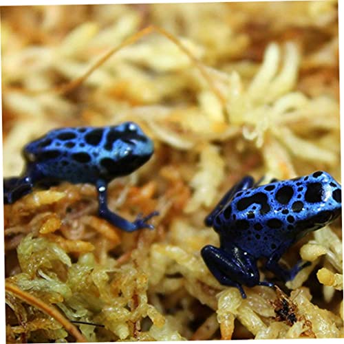 Sphagnum Moss Dried Spagnum Dry Moss for Reptiles Bedding and Terrarium Pet Supplies 150g