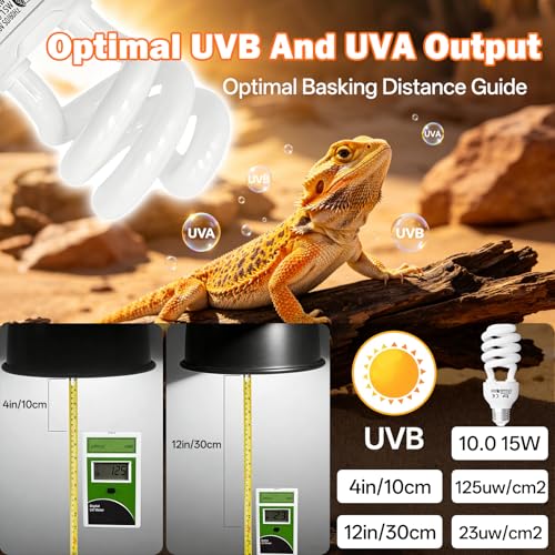 UVB Light for Reptiles 10.0: Bearded Dragon UVB Light for Desert Habitats,15W UVA UVB Reptile Light Bulb for Lizards Tortoises,Terrarium Compact Fluorescent Lamp-UVB Bulbs with Free UV Sensor Card - size: 5.5INCH-10.0