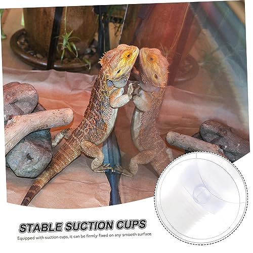 INOOMP Reptile Humidifier Extension Tube 16.33 in Flexible Hose with Suction Cups Humidifier Replacement Hose for Terrarium Vivarium Reptile Mister Accessories