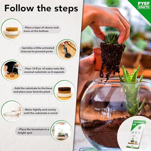Terrarium Kit for Plants DIY | Starter Pack – Closed Ecosystem – 34 fl oz Glass – Succulents, Air Plants, Bonsai, Indoor Plants – (Plants Not Included) - size: 34 fl oz