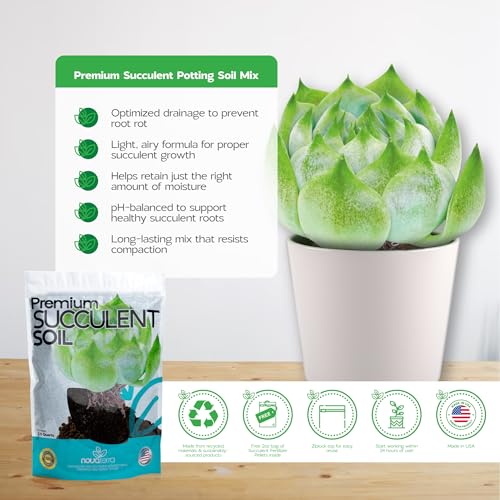 Succulent Soil Potting Mix Succulents Plants Live Succulent pots Potting Soil for Succulents Indoor suculentas Potting - color: Succulent Soil