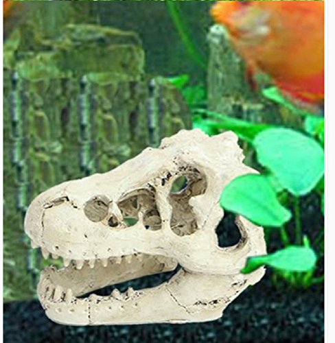 Hewnda Aquarium Decoration Skeleton Hole Resin Artificial Dinosaur Skull Skeleton Ornament - Fish Tank Small Skull Aquarium Decorations cave Landscape pet Reptile House