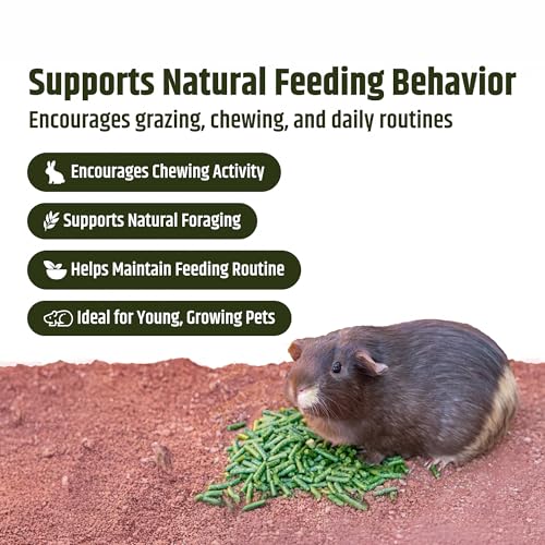 High Desert Delight Alfalfa Pellets, Protein Rich Small Animal Food for Young Rabbits Guinea Pigs and Small Pets, Natural Fiber Alfalfa Hay Pellets for Digestive Health, Fresh Hand Packed 15 oz Bag - size: 1 Pound (Pack of 1)