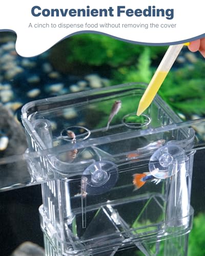 Pawfly Small Aquarium Fish Breeding Box for Fry Hatchery, Shrimp & Aggressive Fish Isolation - size: Small