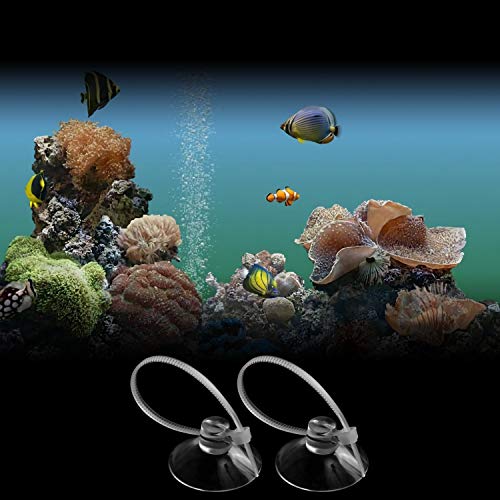 FEBSNOW Aquarium Suction Cups, Fish Tank Suction Cups Aquarium Suction Cup Clip Suction Hooks with 30 PCS Adjustable Cable Ties for Plants, Planter, Binding Moss Shrimp Nest (20)