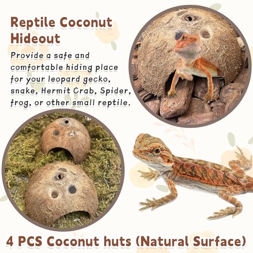 PINVNBY Natural Coconut Reptile Hideouts Lizard, Coco Hut Hermit Crab Hut Aquarium Fish Hide Cave for Small Reptile Crested Gecko Leopard Gecko Spider Snail Climber Toys (4 PCS Natural Surface) - size: 4 PCS Natural Surface