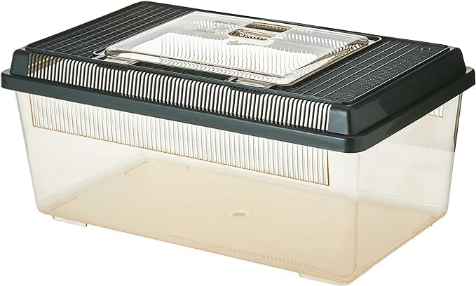 Exo Terra Faunarium Flat Home Plastic Reptile Terrarium, Medium (14" x 8" x 6") | Perfect for Temporary Housing, Quarantine, or Transport | Transparent Plastic Door for Easy Access - size: Medium