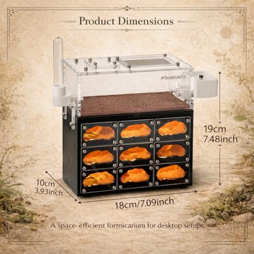 Lumen Hotel Ant Farm Nest with Built-in LED Lights, Hydration System, Trash Box & Ant Keeping Starter Kit - color: Hotel