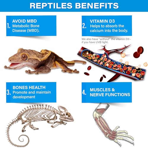 Gargeer 4oz All Reptile Calcium Powder with Vitamin D3, Phosphorus-Free, Ultrafine Powder, Pure Dust & Ready to Use for All Reptiles, Lizards & Amphibians Supplement. Made in the USA. Enjoy !