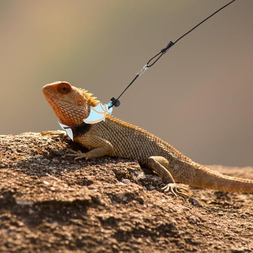 ABOOFAN Bearded Dragon Carrier and Leash Set Portable Reptile Carry Bag Adjustable Outdoor Travel Lizard Pet Carrier with Blue Sling for Reptile Accessories