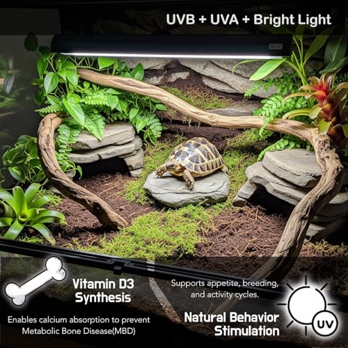 Upgraded T5 UVB Reptile Light, 10.0 UVB 8W German Made Fluorescent Lamp and Fixture Kit, for Desert-Dwelling Reptiles, Bearded Dragon,Tortoise, Snake, Strip Linear UVB Lamp Bulb,12 Inch - size: 8W Reptile T5 UVB Light Kit