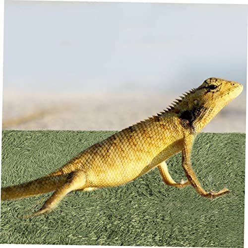 Moss Carpet for Reptiles Absorbent and Breathable Fake Lawn Cushion Tortoise Bedding for Terrarium Moisture Retaining Mat for Lizard and Amphibian Habitats