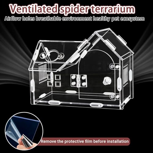 Acrylic Jumping Spider Terrarium with Magnetic Lock – 5.6” Tall Transparent Enclosure for Tarantulas, Hermit Crabs & Small Insects – Secure Ventilated Habitat with Easy Snap Assembly - size: 7.1 x 3.6 x 5.6 inches