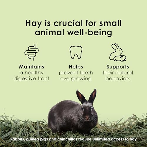 Kaytee Timothy Hay, High Fiber, Grown Specifically for Small Animals, Rabbits, Guinea Pigs, Chinchillas, Ideal Bulk Order for Small Pets, 24 pounds - size: 24 Pound (Pack of 1)