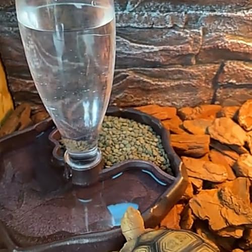 SUPVOX Automatic Reptile Waterer and Bearded Dragon Feed Bowl with Water Reservoir, Portable Turtle and Lizard Feeding Dish for Terrarium Use, Deep Coffee Color