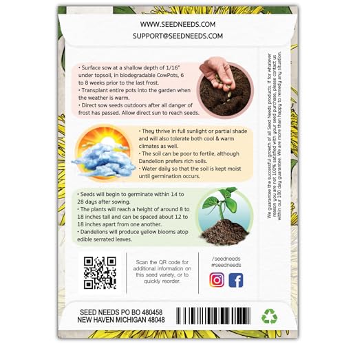 Seed Needs Dandelion Seeds to Plant Heirloom & Non-GMO Herbs 2 Packs - size: 2 Packs, style: Common Dandelion