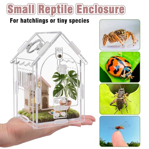 Acrylic Jumping Spider Enclosure 3.15"x3.15"x5.6" – Magnetic Front Opening Terrarium for Tarantulas, Mantis & Small Reptiles | Escape-Proof Habitat with Ventilation & No-Tool Assembly - size: 3.15 x 3.15 x 5.6 inches