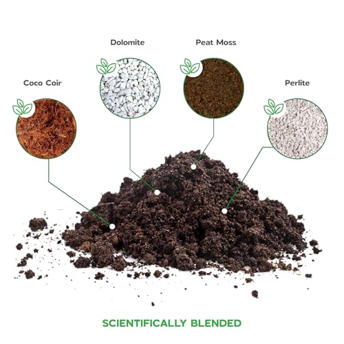 Fiddle Leaf fig Soil Plant Food fig Trees Live Plants Fertilizer Seed Starter Soil Plant - color: Fiddle Leaf Fig Soil