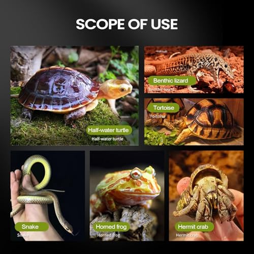 Automatic Waterer for Gecko - Leak-Proof Reptile Feeder, Reservoir | Hydration Tool for Snake Lizard Bearded Dragon Home Garden Yard Backyard Tank Terrarium - color: L