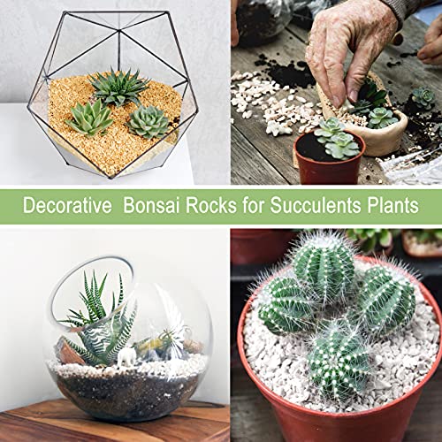 2LBS Horticultural Succulent Rocks Bonsai Mix Succulent Potting Mix Lava Rocks Cactus Soil Potting Mix Amendment - color: Mix Pebbles