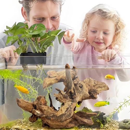 kathson Large Natural Aquarium Driftwood Reptiles Branches Terrarium Ornament Sinkable Wood Decor Trunk Fish Tank Log Habitat Decoration (11"-17") - size: XL:1 Pack(11 - 17 inches)