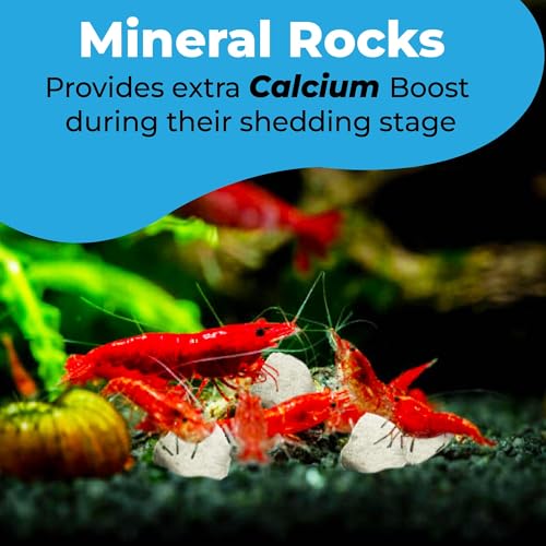 JOR 2 oz Hermit Crab Rocks, Natural Calcium Stones for Shrimp Tank Kit, Crab Decor Accessory, Rock Source for Crabs, Snails & Shrimp, Suitable for Marine Tanks, Freshwater Use & Terrarium Habitats