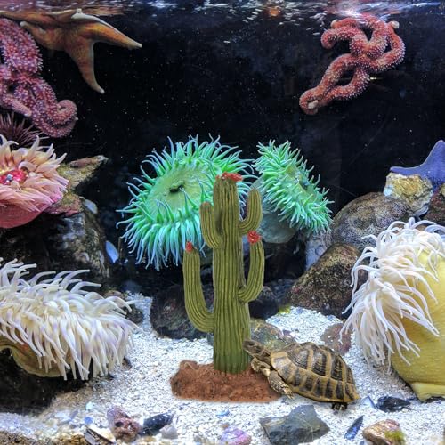 KOMBIUDA Artificial Cactus Plants for Reptile Habitat Decor, Simulation Succulent Landscape for Bearded Dragon Tank and Tortoise Enclosure, Plastic Terrarium Decoration for Lizard and