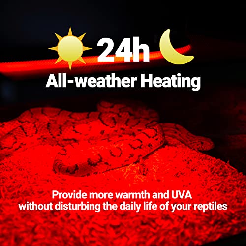 WACOOL 4 Pack Reptile Heat Lamp Bulbs,100W Infrared Basking Spot Light for Reptiles & Amphibians, Red Heat Lamp Bulb for Bearded Dragon Gecko Turtle Lizard (75, Watts)… - style: 100W-4 PACK
