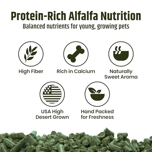 High Desert Delight Alfalfa Pellets, Protein Rich Small Animal Food for Young Rabbits Guinea Pigs and Small Pets, Natural Fiber Alfalfa Hay Pellets for Digestive Health, Fresh Hand Packed 63 oz Bag - size: 4 Pound (Pack of 1)
