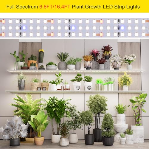 16.4FT LED Plant Grow Light, 2100LEDs Full Spectrum Grow Lamp with High PPFD, 24V 120W Cuttable Plants Growing Light Strip Flexible Self Adhesive for Seedlings Veg Flower - size: 16.4FT