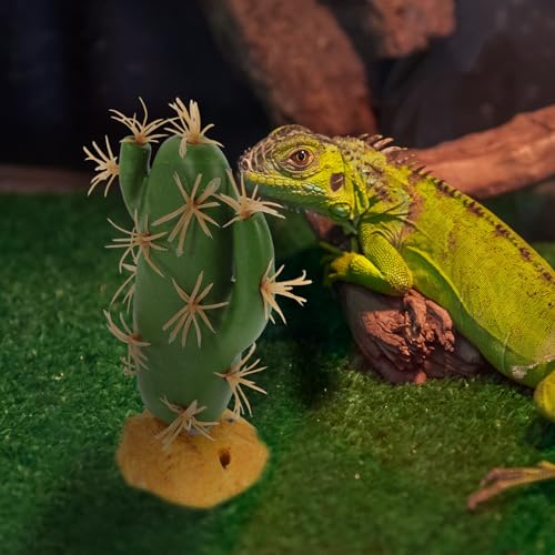 Artificial Reptile Cactus Plant for Terrarium Decor Water-Resistant Resin Simulation Non-Fading Plastic Ornament for Lizard Tank Landscaping Suitable for Amphibian Habitat and Pet