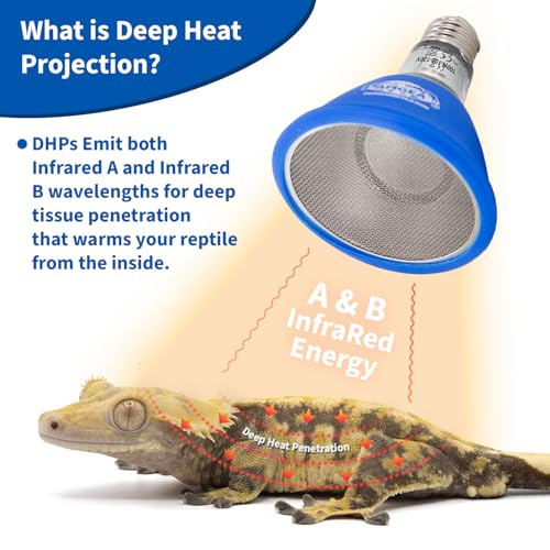 Pangea 50W Deep Heat Projector 2-Pack for Reptiles with Carbon Fiber Filament, Core Warming Infrared A and B Bulb for Basking Lizards, Designed for Ceramic Sockets (50 Watt)
