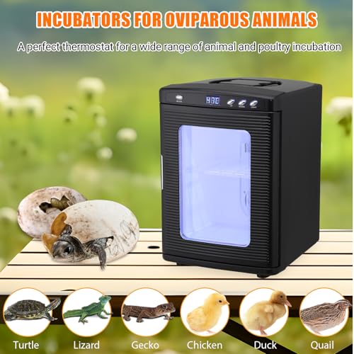 GarveeTech Scientific Incubator 25 L, Digital Laboratory Incubator with AC & DC Power, Reptile Incubators for Hatching Eggs with Precise Temperature Control from 10 to 60°C (72°F to 140°F), Black