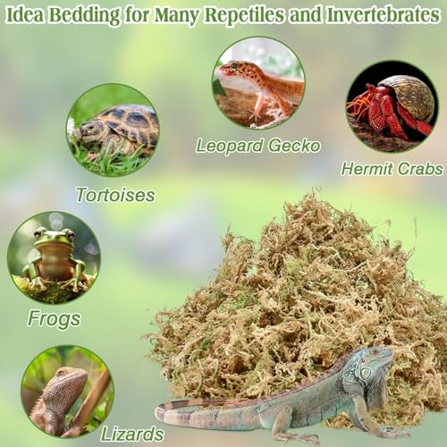 Halatool 6OZ Natural Sphagnum Moss Substrate for Reptiles - Terrarium Bedding with 72H Moisture Retention, Safe for Bearded Dragons, Geckos & Snake Shedding - size: 6 OZ