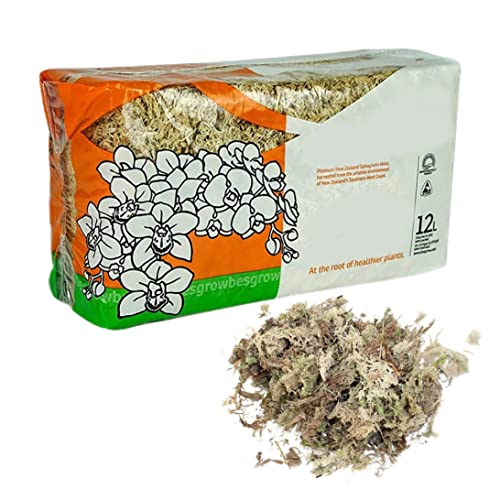 Sphagnum Moss Dried Spagnum Dry Moss for Reptiles Bedding and Terrarium Pet Supplies 150g